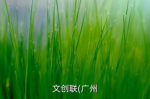 廣州市飛漫樂貿(mào)易有限公司