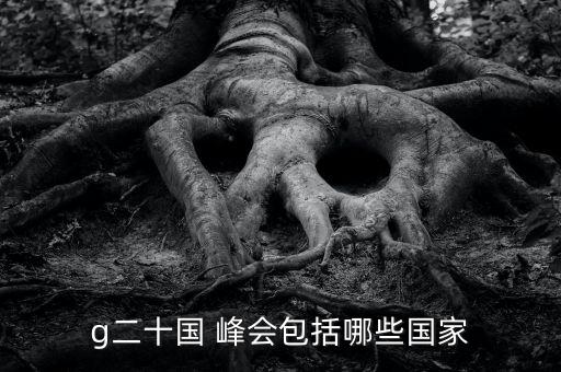20國集團(tuán)首腦峰會,中亞峰會來了幾國首腦