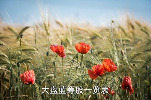 大盤藍(lán)籌股一覽表