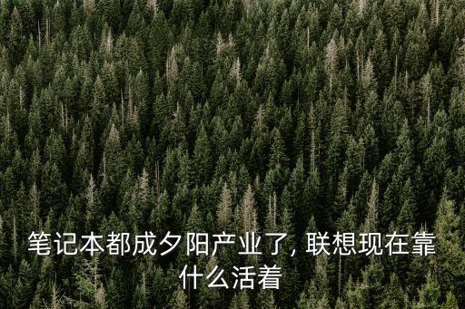 筆記本都成夕陽產業(yè)了, 聯想現在靠什么活著