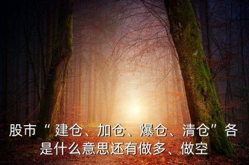 股市“ 建倉(cāng)、加倉(cāng)、爆倉(cāng)、清倉(cāng)”各是什么意思還有做多、做空