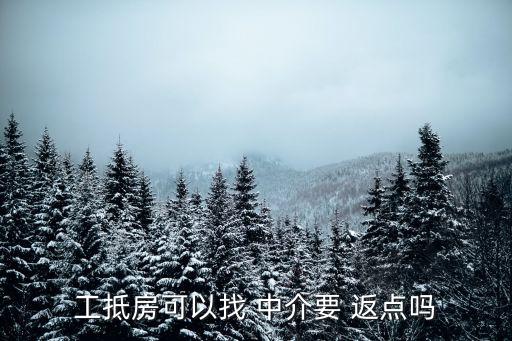 工抵房可以找 中介要 返點嗎