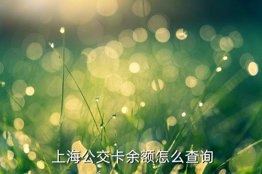  上海公交卡余額怎么查詢