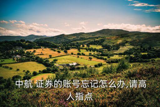  中航 證券的賬號忘記怎么辦,請高人指點