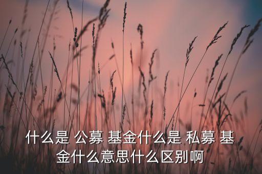 什么是 公募 基金什么是 私募 基金什么意思什么區(qū)別啊