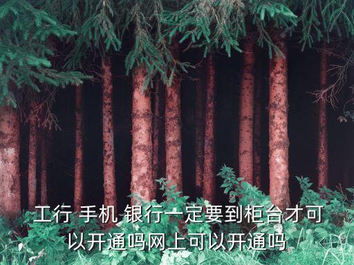  工行 手機(jī) 銀行一定要到柜臺(tái)才可以開通嗎網(wǎng)上可以開通嗎