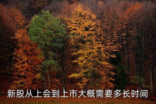 新股從上會(huì)到上市大概需要多長(zhǎng)時(shí)間