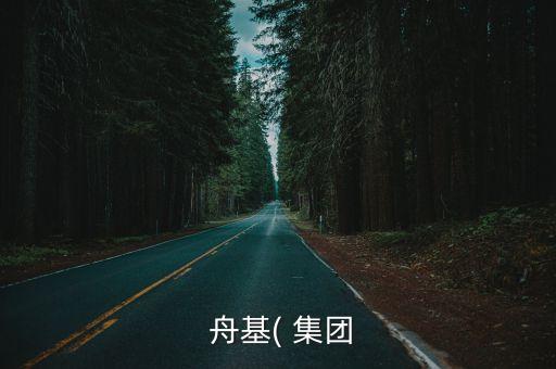 舟基集團(tuán)股票,上海舟基集團(tuán)副總裁