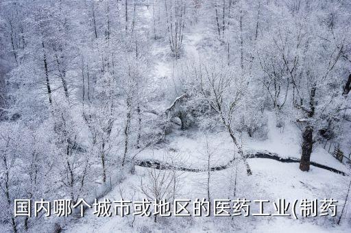 國內(nèi)哪個城市或地區(qū)的醫(yī)藥工業(yè)(制藥