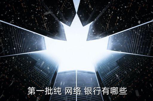  第一批純 網(wǎng)絡 銀行有哪些