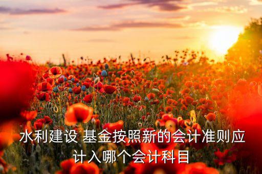  水利建設(shè) 基金按照新的會(huì)計(jì)準(zhǔn)則應(yīng)計(jì)入哪個(gè)會(huì)計(jì)科目