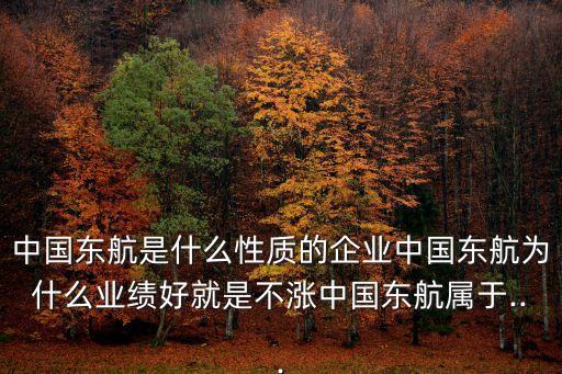 中國東航是什么性質的企業(yè)中國東航為什么業(yè)績好就是不漲中國東航屬于...