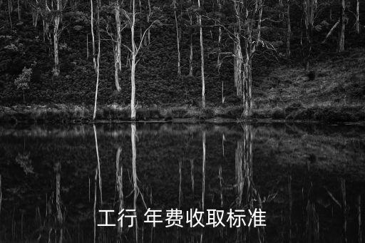 工行 年費(fèi)收取標(biāo)準(zhǔn)