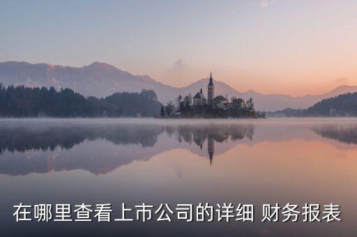 中國(guó)衛(wèi)星2013年度財(cái)務(wù)報(bào)告,甲股份有限公司2013年年度財(cái)務(wù)報(bào)告