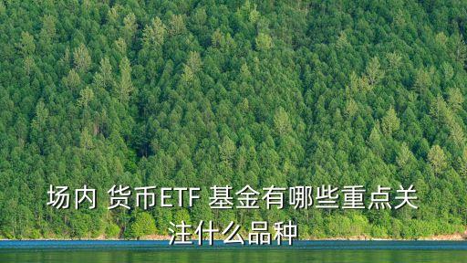 場內(nèi) 貨幣ETF 基金有哪些重點(diǎn)關(guān)注什么品種