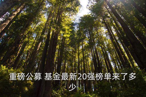 重磅公募 基金最新20強榜單來了多少
