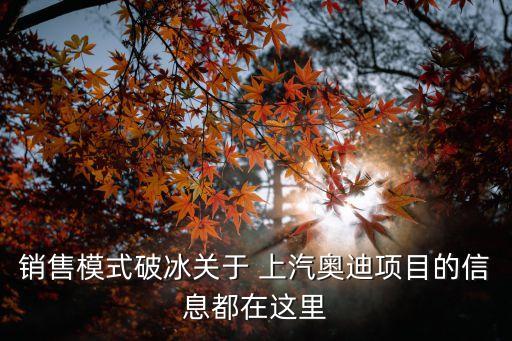 銷售模式破冰關(guān)于 上汽奧迪項目的信息都在這里
