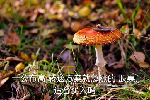 一公布高 轉(zhuǎn)送方案就急漲的 股票,適合買入嗎