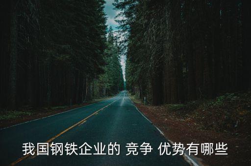 我國鋼鐵企業(yè)的 競(jìng)爭(zhēng) 優(yōu)勢(shì)有哪些