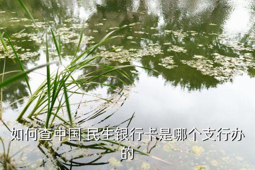 如何查中國(guó) 民生銀行卡是哪個(gè)支行辦的