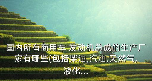 中國發(fā)動(dòng)機(jī)制造商,俄羅斯發(fā)動(dòng)機(jī)制造商