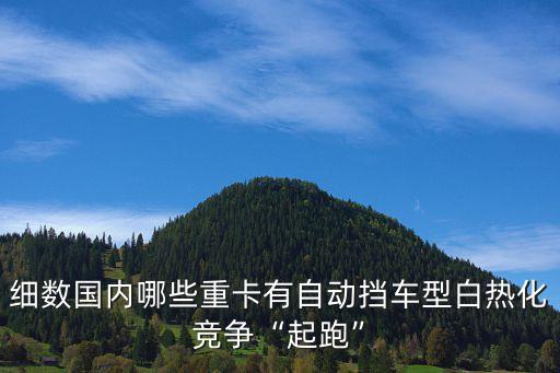 細(xì)數(shù)國內(nèi)哪些重卡有自動擋車型白熱化競爭“起跑”