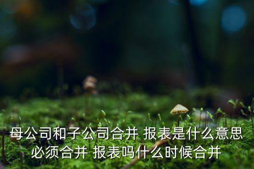 盛大集團財務報表,中國旺旺集團財務報表分析