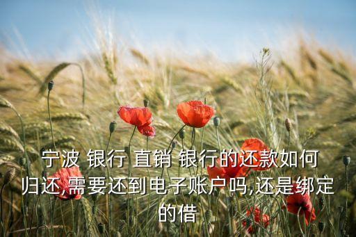  寧波 銀行 直銷 銀行的還款如何歸還,需要還到電子賬戶嗎,還是綁定的借
