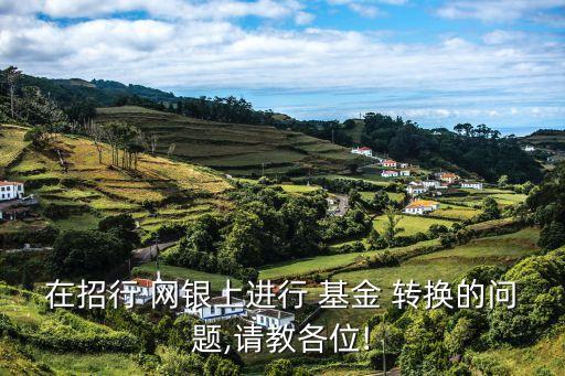 在招行 網(wǎng)銀上進(jìn)行 基金 轉(zhuǎn)換的問(wèn)題,請(qǐng)教各位!