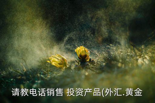 請教電話銷售 投資產品(外匯.黃金