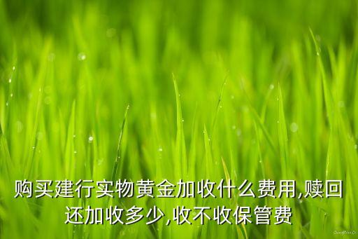 購買建行實物黃金加收什么費用,贖回還加收多少,收不收保管費