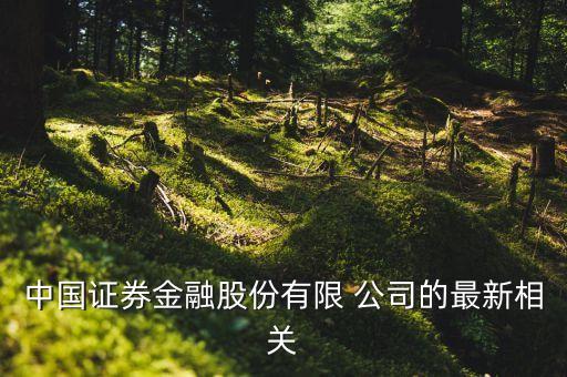 中國(guó)證券金融股份有限 公司的最新相關(guān)