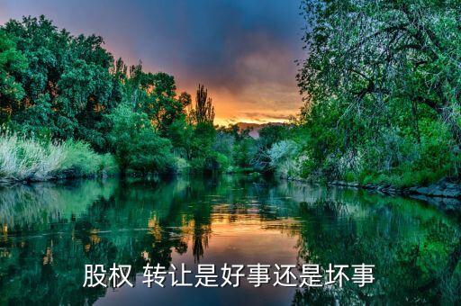 股權(quán) 轉(zhuǎn)讓是好事還是壞事