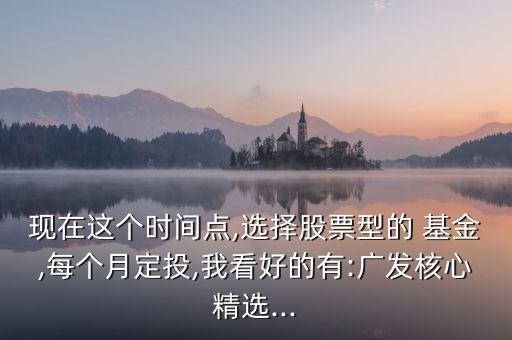 現(xiàn)在這個時間點(diǎn),選擇股票型的 基金,每個月定投,我看好的有:廣發(fā)核心精選...