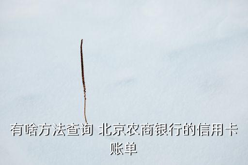 北京農商行網站