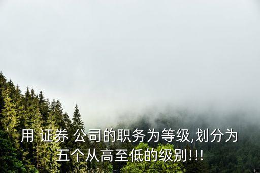 用 證券 公司的職務(wù)為等級(jí),劃分為五個(gè)從高至低的級(jí)別!!!