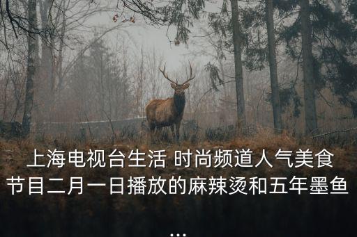  上海電視臺(tái)生活 時(shí)尚頻道人氣美食節(jié)目二月一日播放的麻辣燙和五年墨魚(yú)...