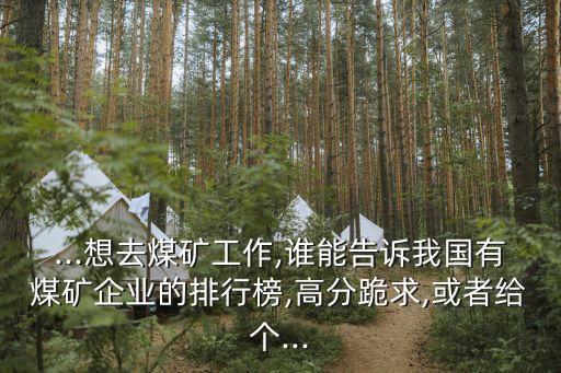 ...想去煤礦工作,誰能告訴我國有煤礦企業(yè)的排行榜,高分跪求,或者給個...