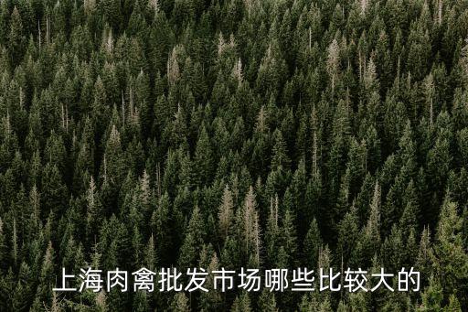  上海肉禽批發(fā)市場哪些比較大的