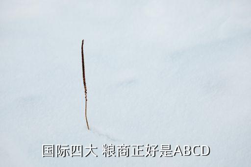 abcd四大糧商在中國如何布局