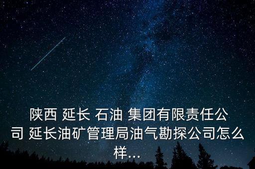  陜西 延長 石油 集團(tuán)有限責(zé)任公司 延長油礦管理局油氣勘探公司怎么樣...