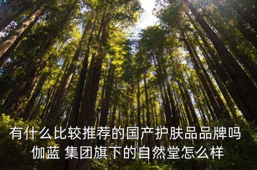 有什么比較推薦的國產(chǎn)護(hù)膚品品牌嗎 伽藍(lán) 集團(tuán)旗下的自然堂怎么樣