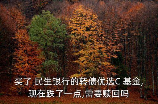 買(mǎi)了 民生銀行的轉(zhuǎn)債優(yōu)選C 基金,現(xiàn)在跌了一點(diǎn),需要贖回嗎