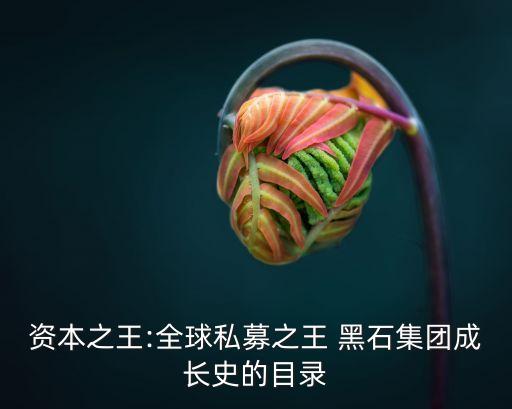 資本之王:全球私募之王 黑石集團(tuán)成長(zhǎng)史的目錄