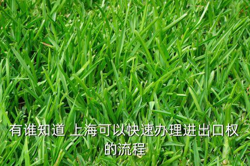 上海進(jìn)出口額到哪找