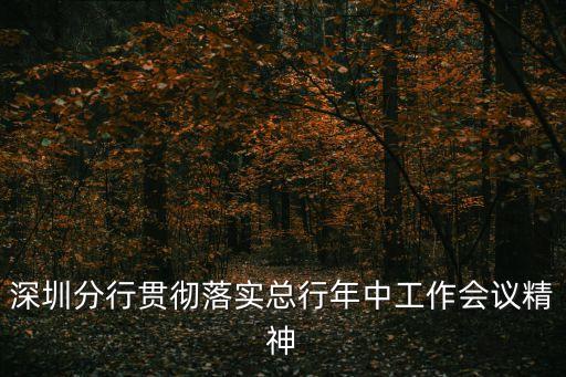 深圳分行貫徹落實總行年中工作會議精神
