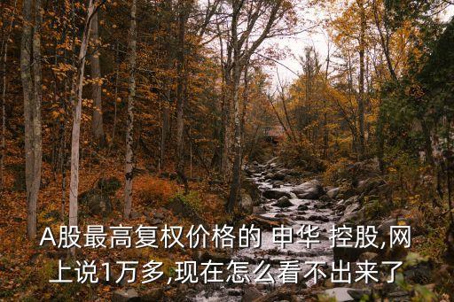 A股最高復權價格的 申華 控股,網上說1萬多,現在怎么看不出來了