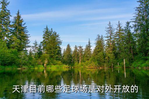  天津目前哪些足球場(chǎng)是對(duì)外開放的
