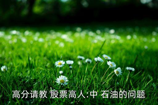 高分請(qǐng)教 股票高人:中 石油的問(wèn)題