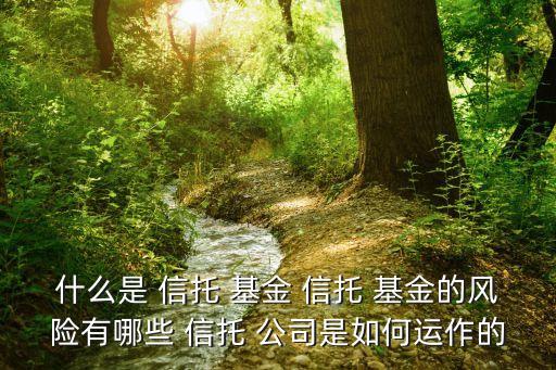 什么是 信托 基金 信托 基金的風(fēng)險(xiǎn)有哪些 信托 公司是如何運(yùn)作的